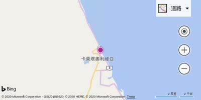 奥利维亚港机场