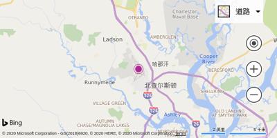 查尔斯顿国际机场