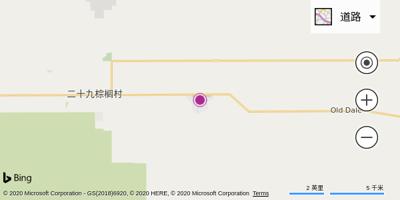 二十九棕榈村机场