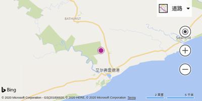 艾尔弗雷德港机场