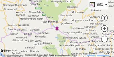 努沃勒埃里耶机场